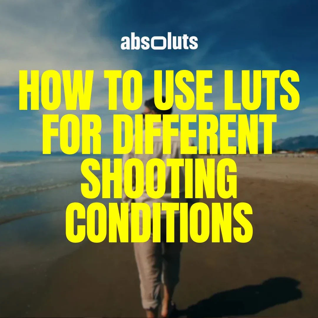How to Use LUTs for Different Shooting Conditions
